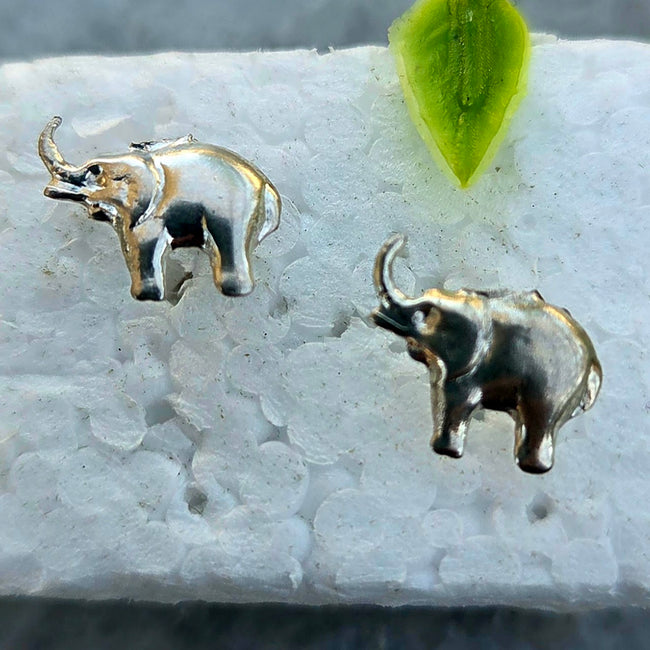 Silver Stud Earrings 10