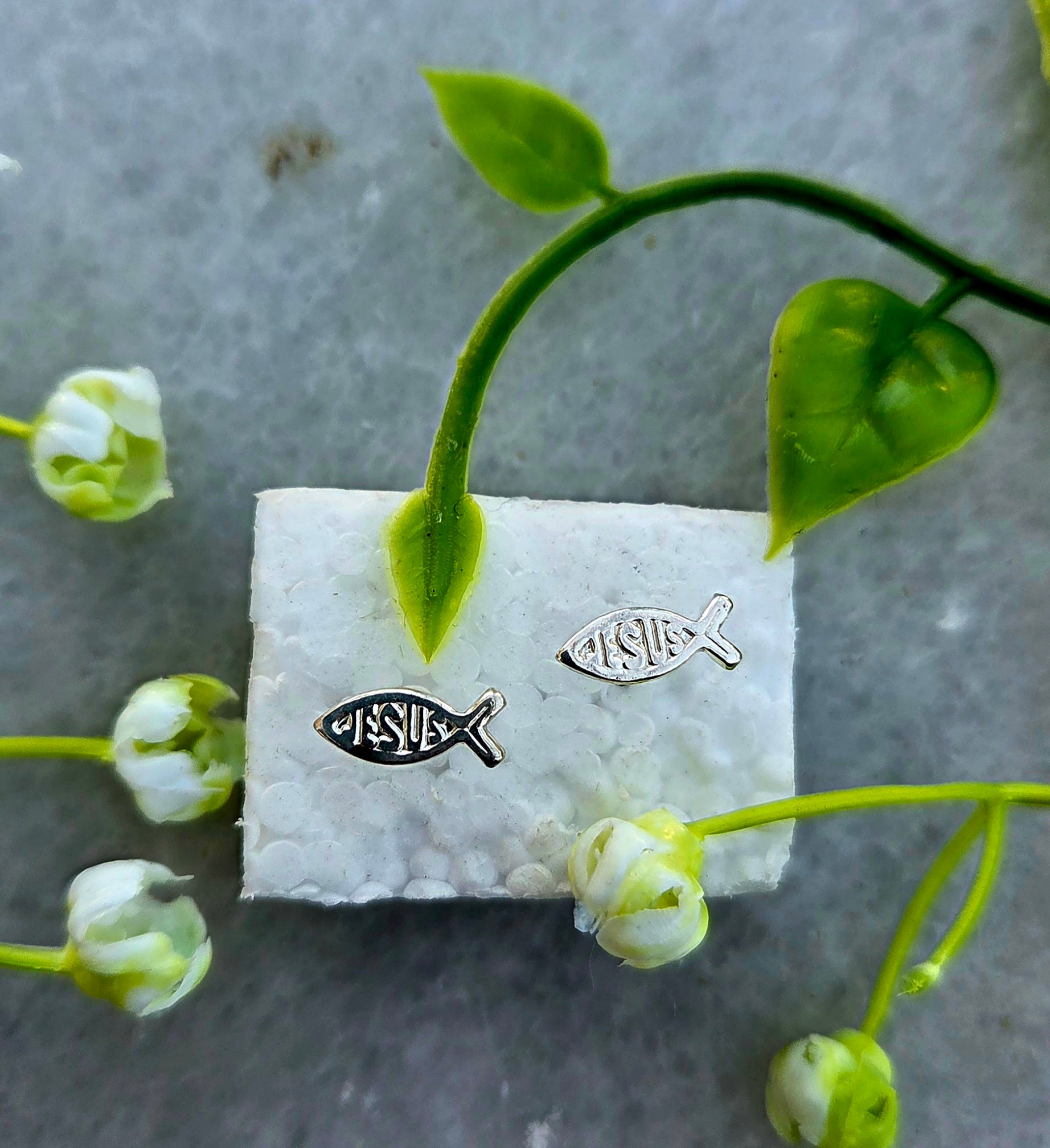 Silver Stud Earrings
