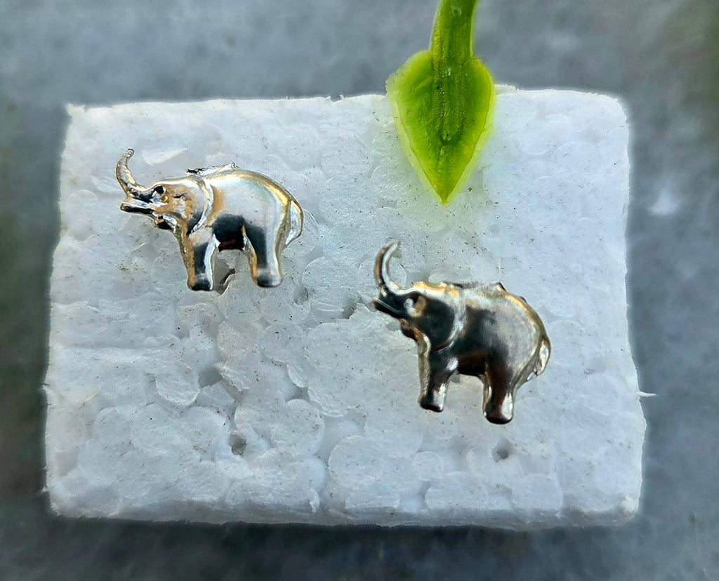 Silver Stud Earrings