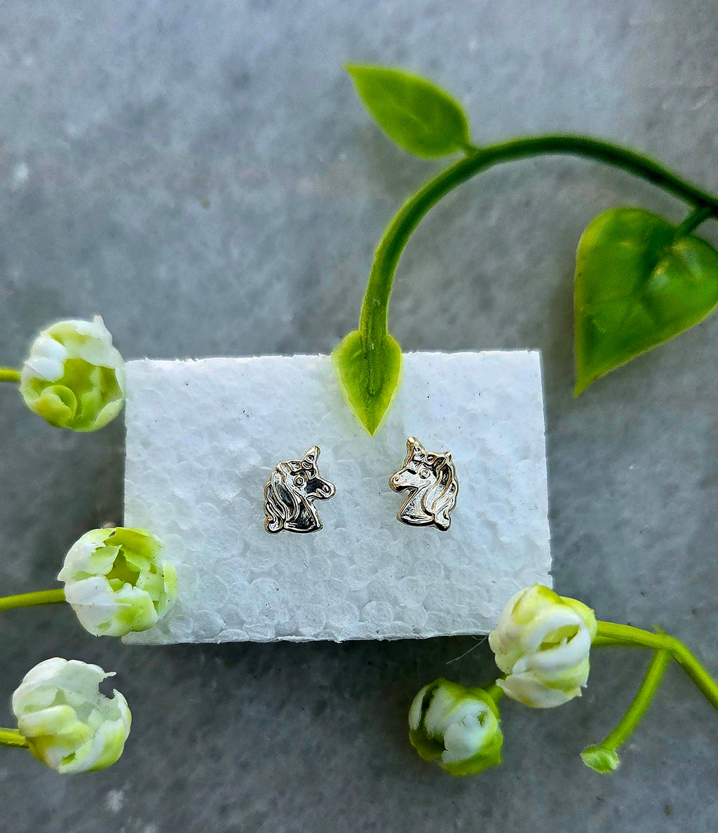 Silver Stud Earrings