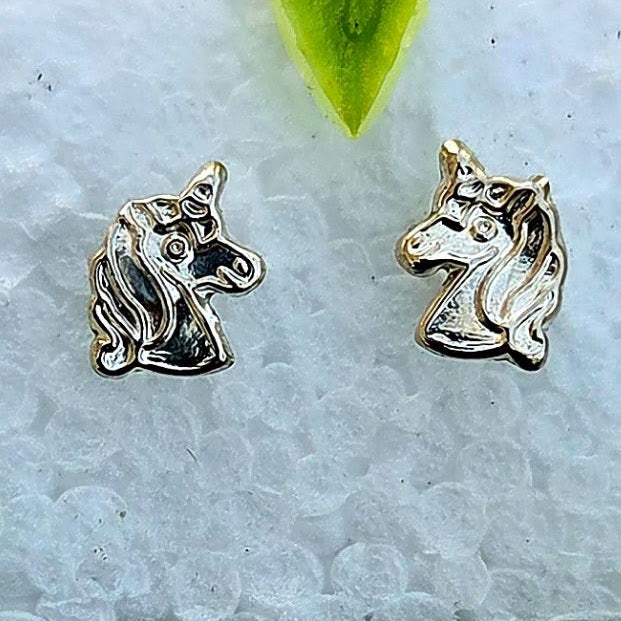 Silver Stud Earrings 15