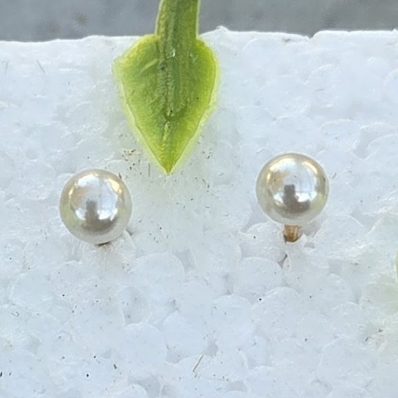 Pearl Steel Stud Earrings